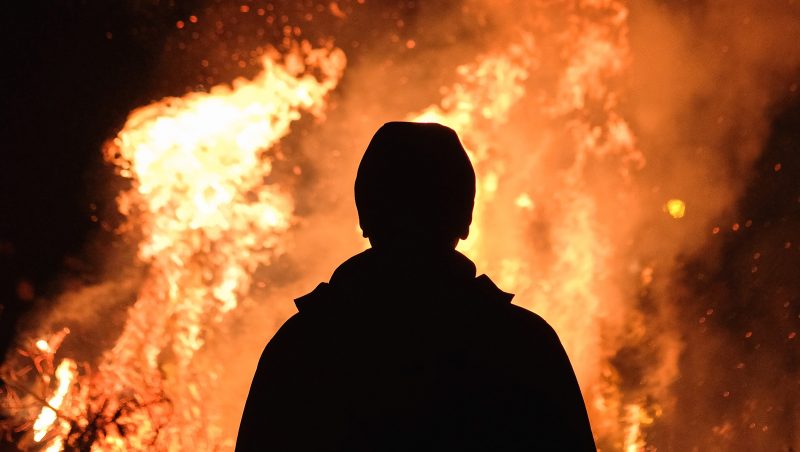 The Evolution of Coworking: How a Wildfire Saved the Workday
