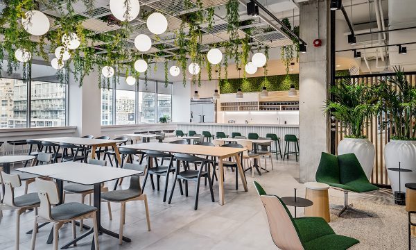 Bright and airy workspace lounge with greenery