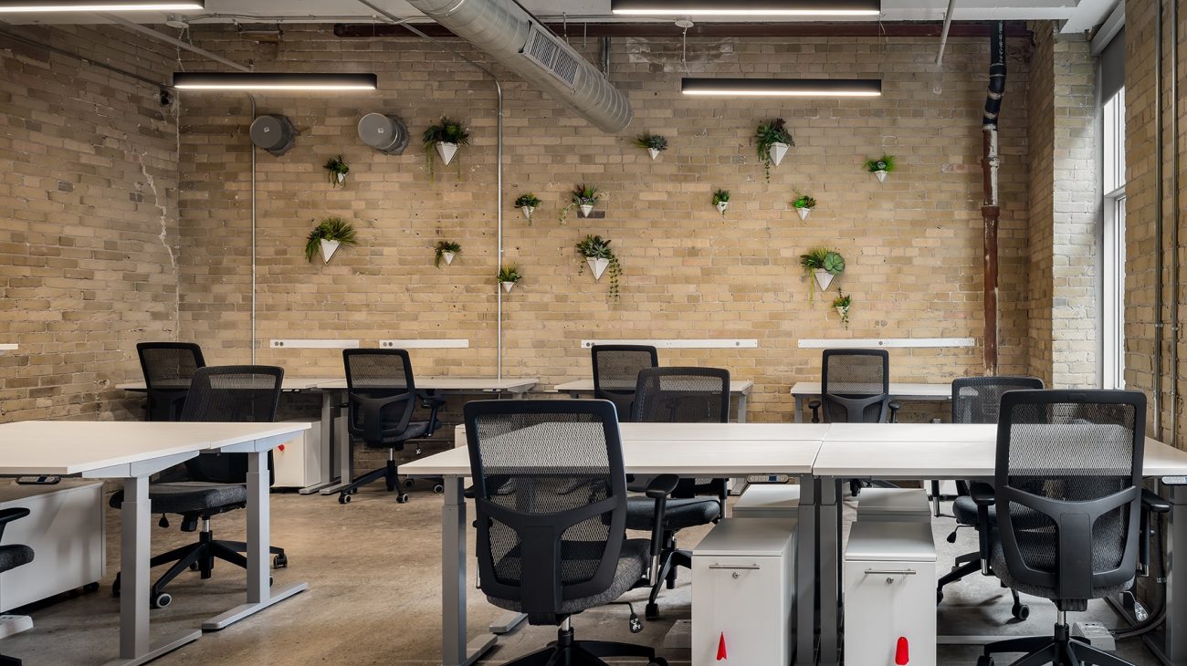Team office with plants on brick wall