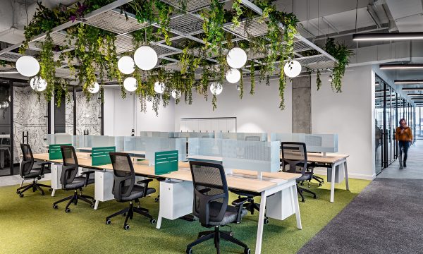 Dedicated desks with greenery