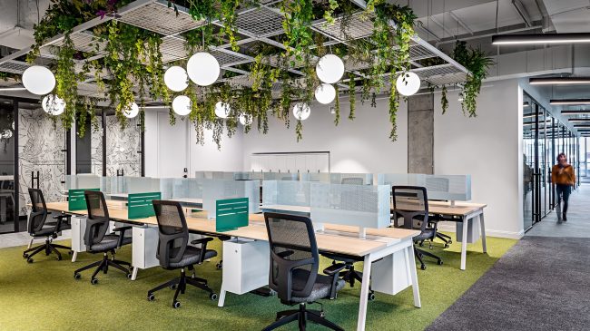 Dedicated desks with greenery